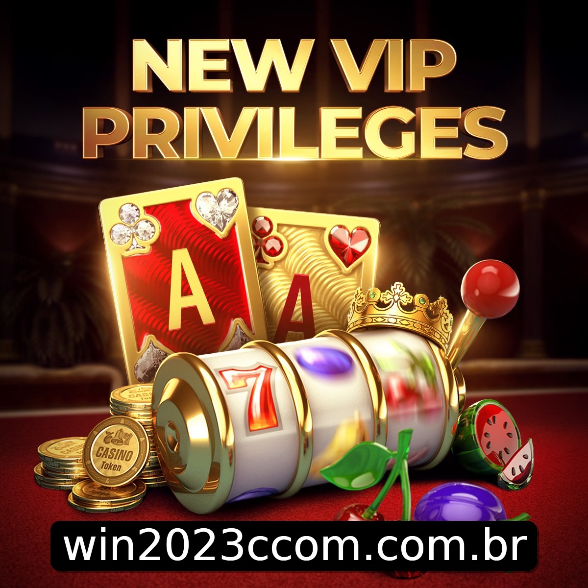 Programa VIP win2023